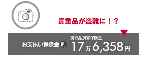 貴重品が盗難に！？→お支払い保険金（例）携行品損害保険金17万6,358円